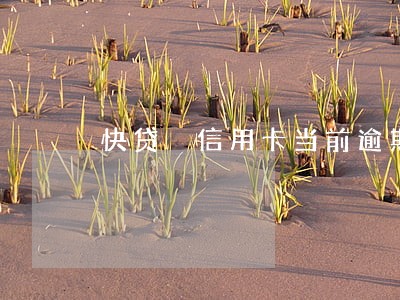 快贷 信用卡当前逾期